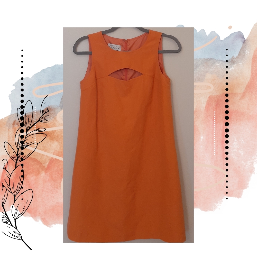 Vintage tangerine dress
